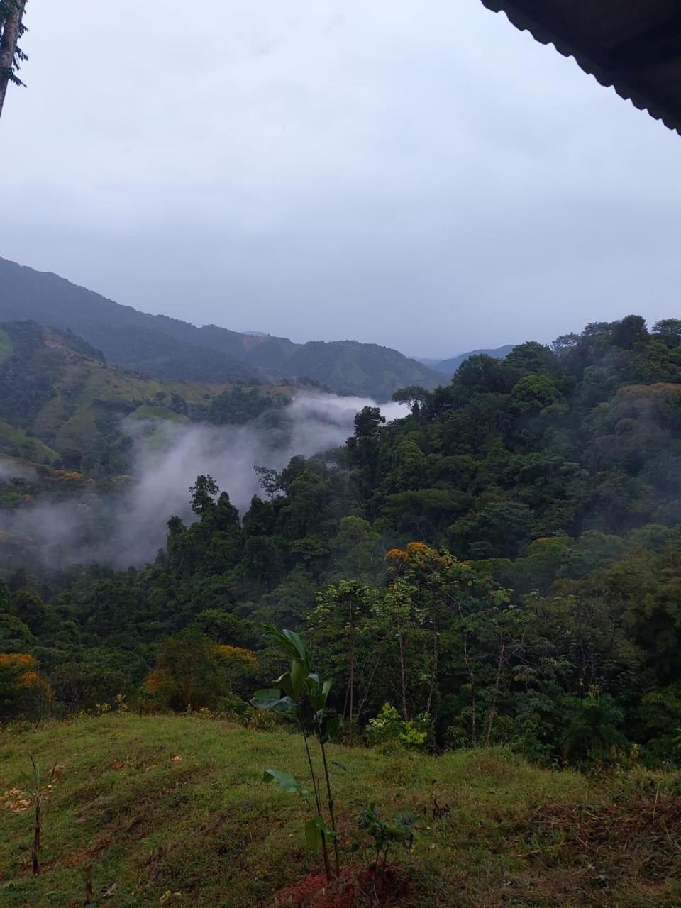 Santa Juana Lodge & Nature Reserve Quepos Eksteriør billede