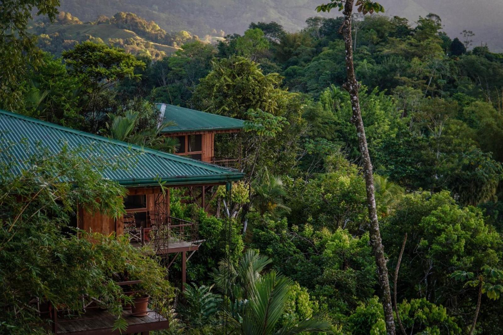 Santa Juana Lodge & Nature Reserve Quepos Eksteriør billede