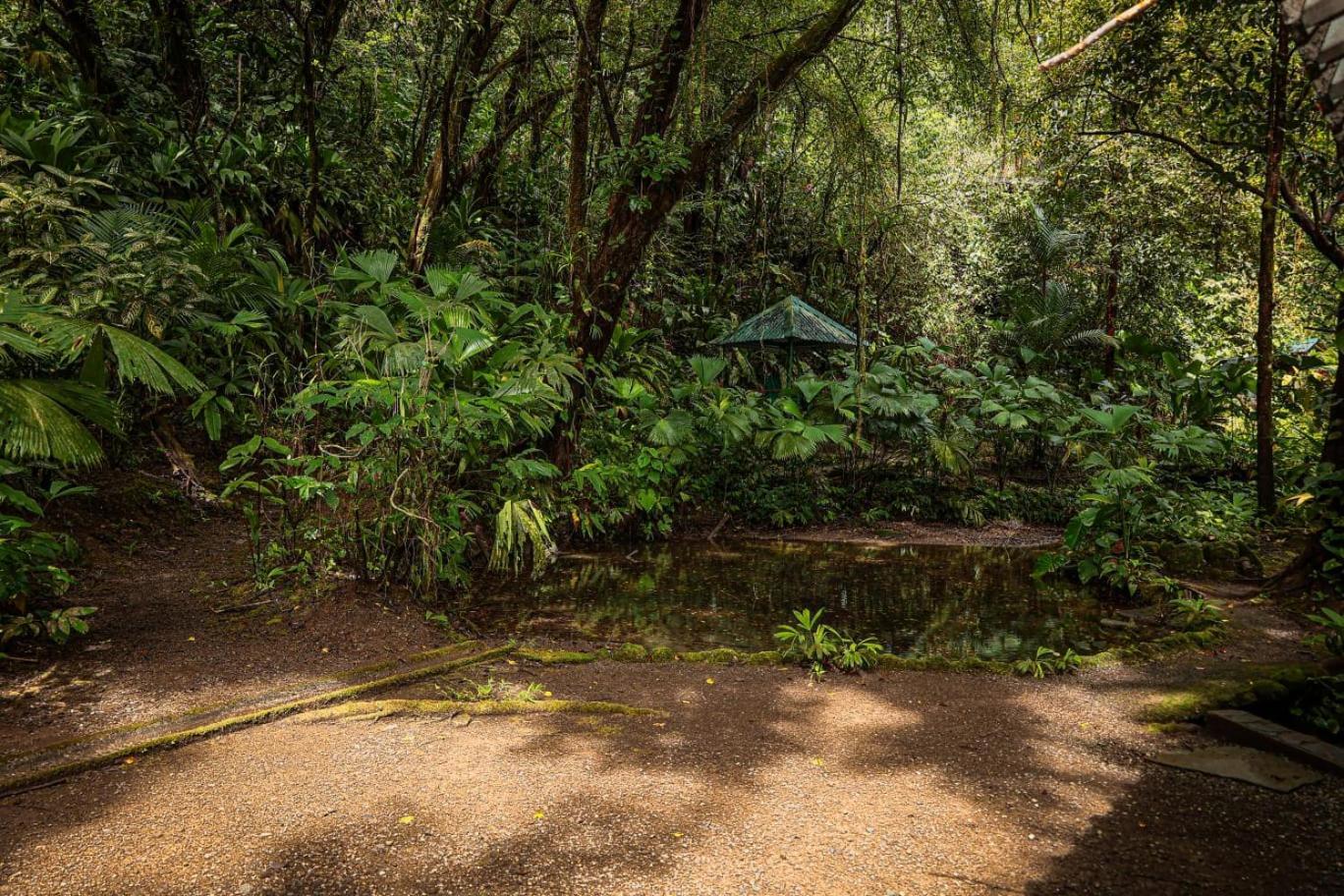 Santa Juana Lodge & Nature Reserve Quepos Eksteriør billede