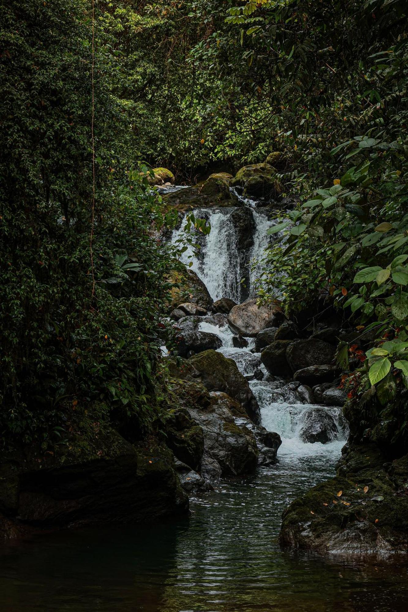 Santa Juana Lodge & Nature Reserve Quepos Eksteriør billede