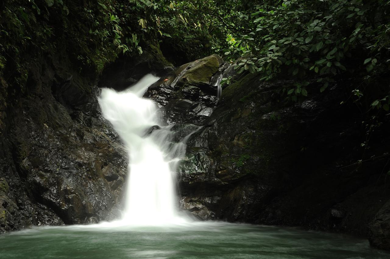 Santa Juana Lodge & Nature Reserve Quepos Eksteriør billede