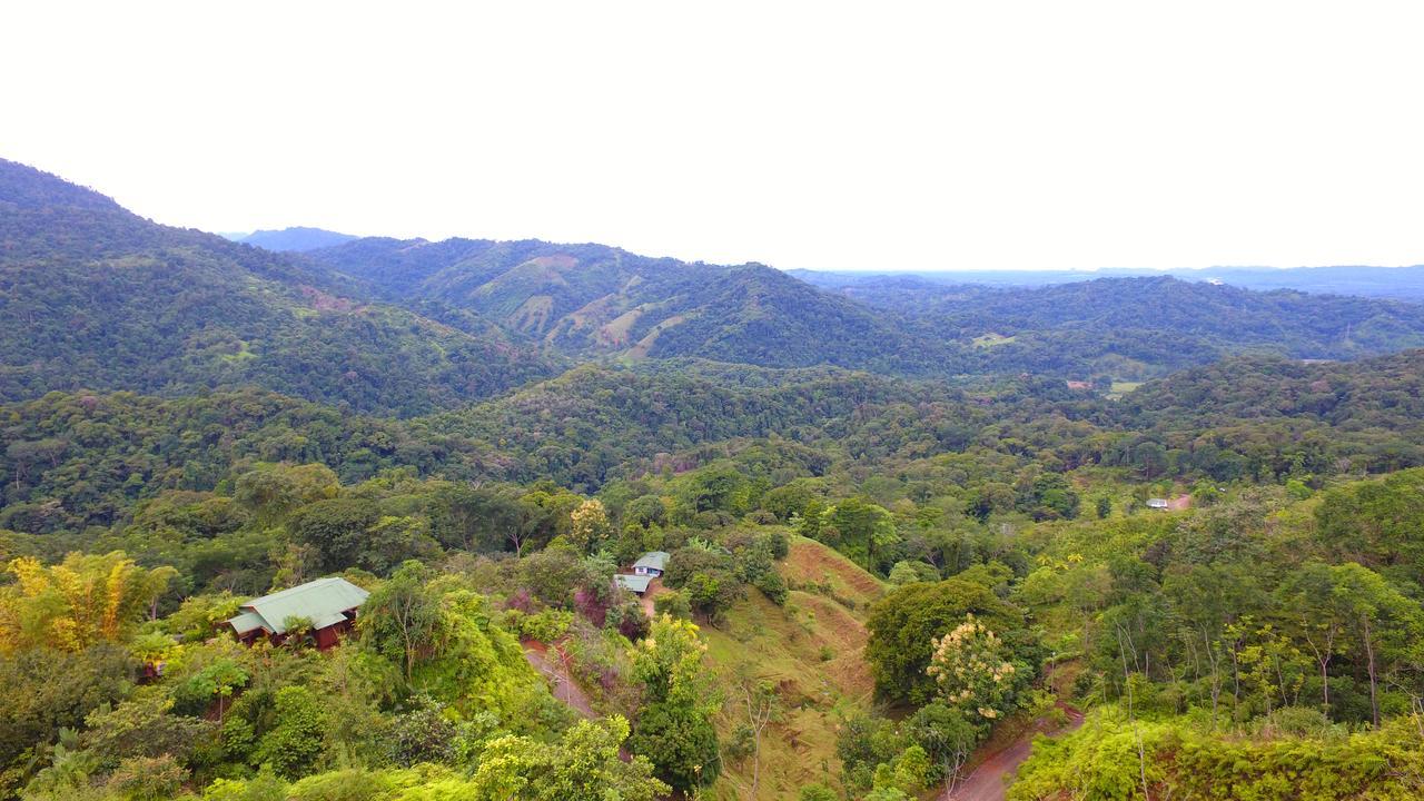 Santa Juana Lodge & Nature Reserve Quepos Eksteriør billede