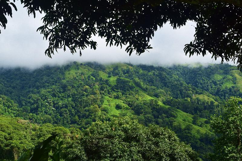 Santa Juana Lodge & Nature Reserve Quepos Eksteriør billede