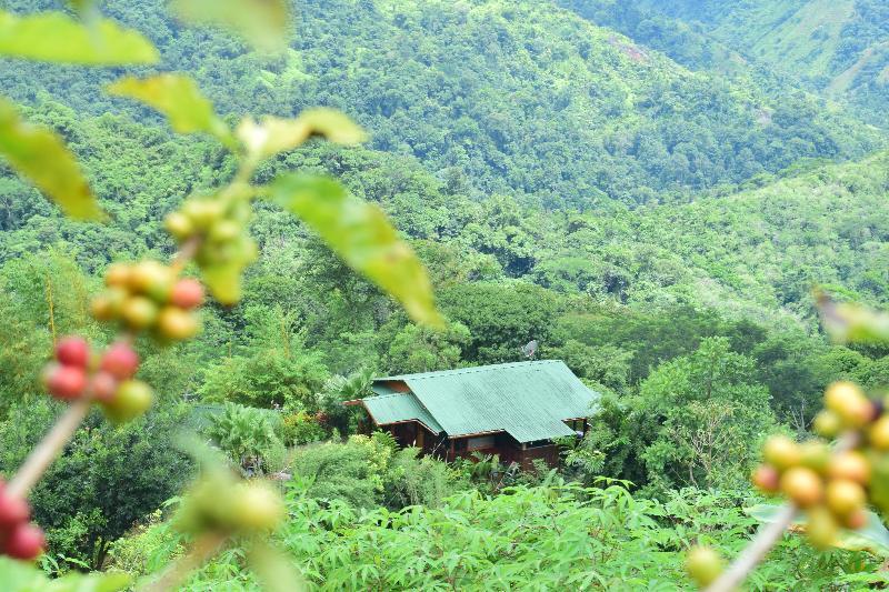 Santa Juana Lodge & Nature Reserve Quepos Eksteriør billede